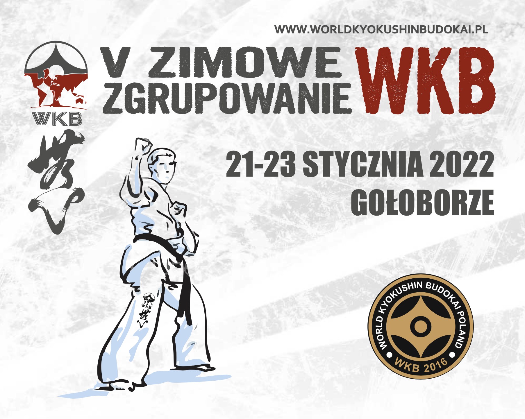 Read more about the article Zgrupowanie WKB Poland